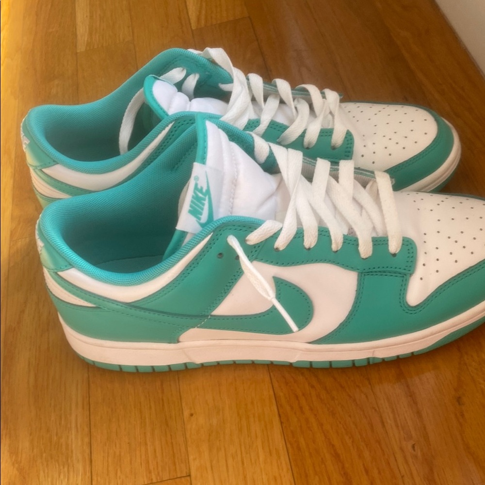 Nike Teal and White Sneakers